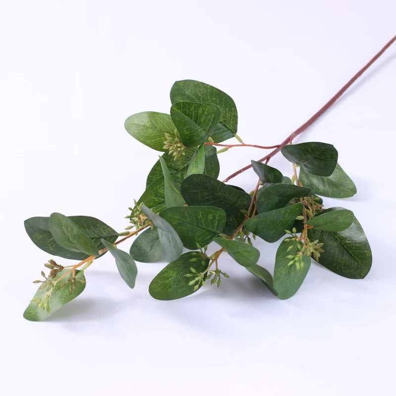 60 cm lange Pappel-Eukalyptus-Zweige – Für Blumenarrangements