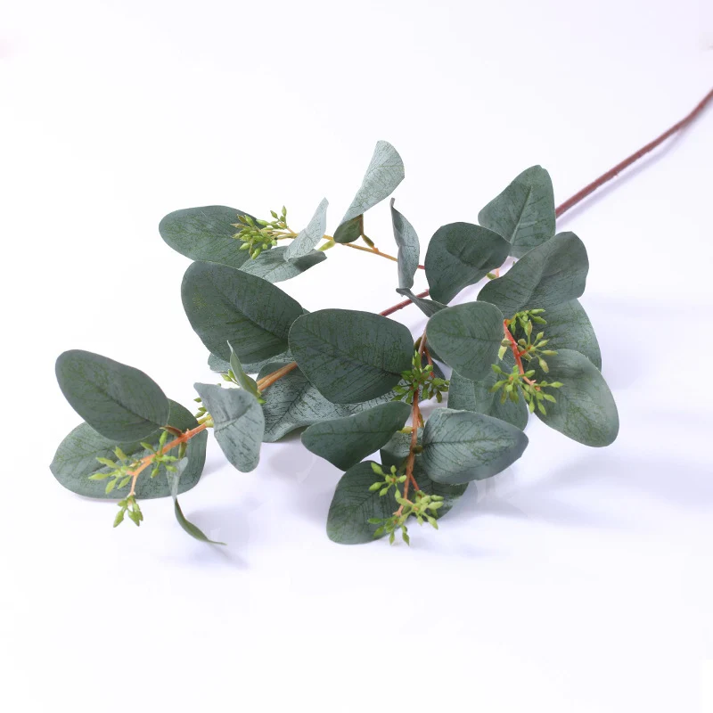 60 cm lange Pappel-Eukalyptus-Zweige – Für Blumenarrangements