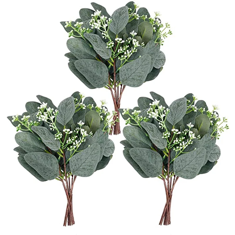 20 Stück 30 cm hohes Pappel-Eukalyptus-Bukett mit Samenkörnern