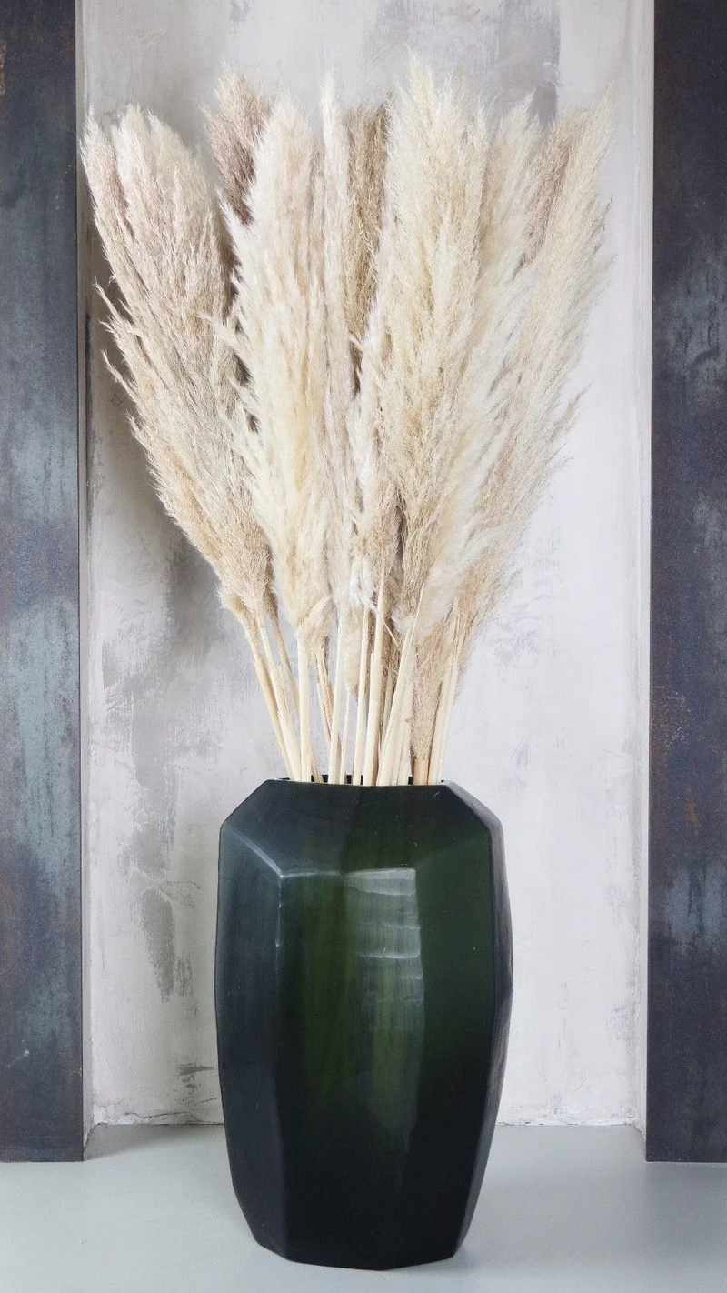 Pampasgras basic 115 cm - 5 Stängel - Naturfarbe
