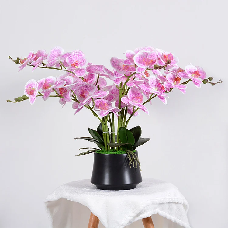 56cm Kunstblume Orchidee groß in Hochglanz-Keramiktopf Orchideen künstlich Kunstblumen wie echt künstliche Orchideen im Topf