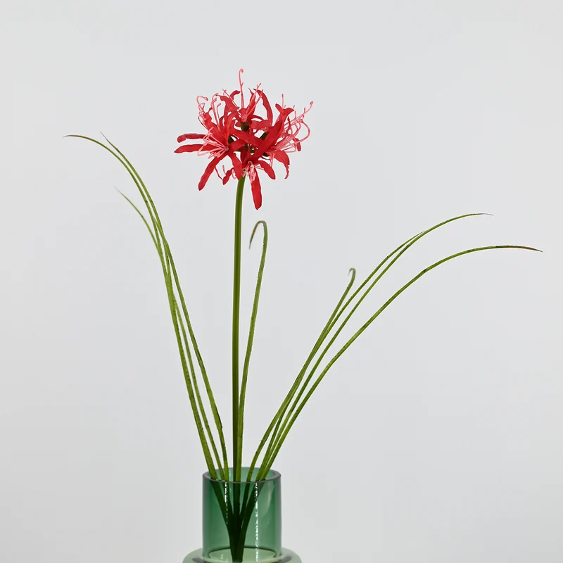 56 cm Künstliche Lycoris-Blume realistisch & pflegeleicht für Vase oder Dekoration