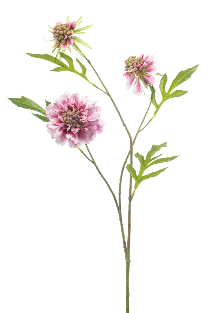 Scabiosa künstlich 62 cm - 1 Stiel - Hellrosa