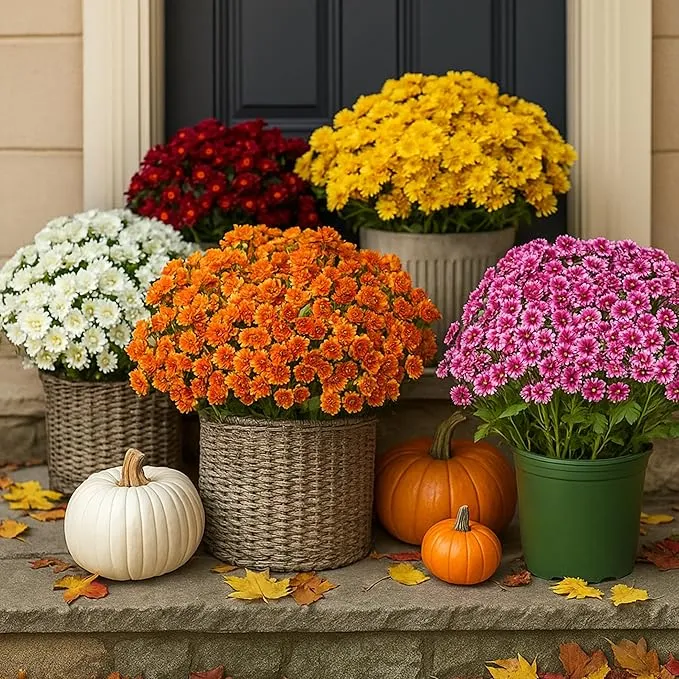 10 Bündel Draußen liegende künstliche Chrysanthemen mit UV-Schutz Außenblumen