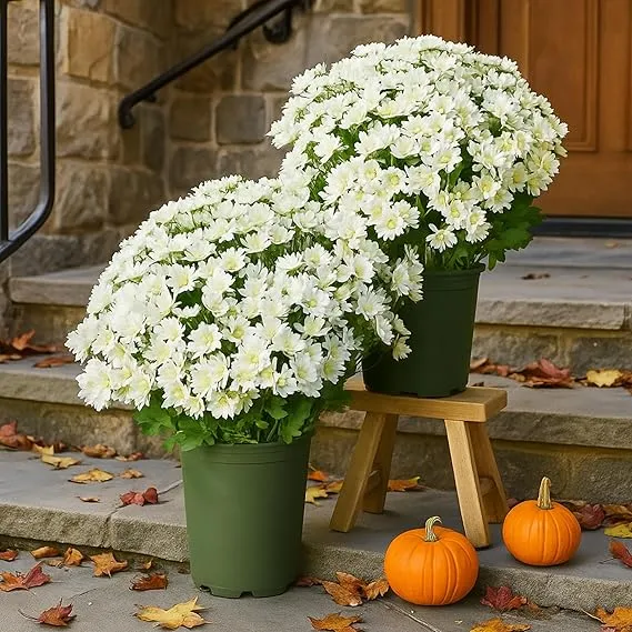 10 Bündel Draußen liegende künstliche Chrysanthemen mit UV-Schutz Außenblumen