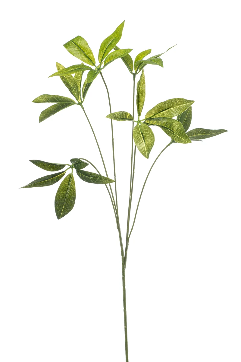 Pachira künstlich 80 cm - 1 Zweig - Grün