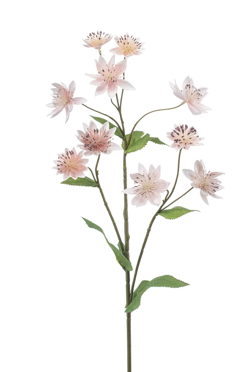 Astrantia künstlich 70 cm - 1 Stiel - Hellrosa
