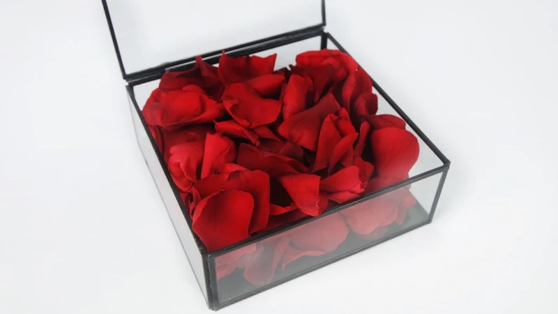 Rosenblätter - Schachtel - Vibrant red