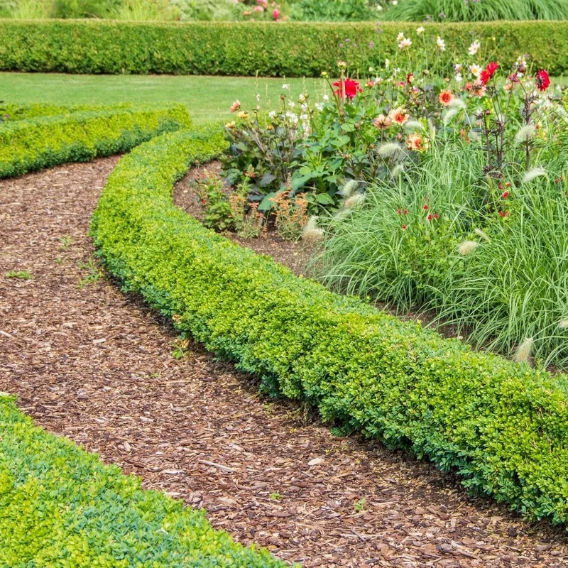 Culvita Premium Rindenmulch – 30–40 mm – Dekorative Rinde für Garten, Beete & Wege – 1560 L Palette