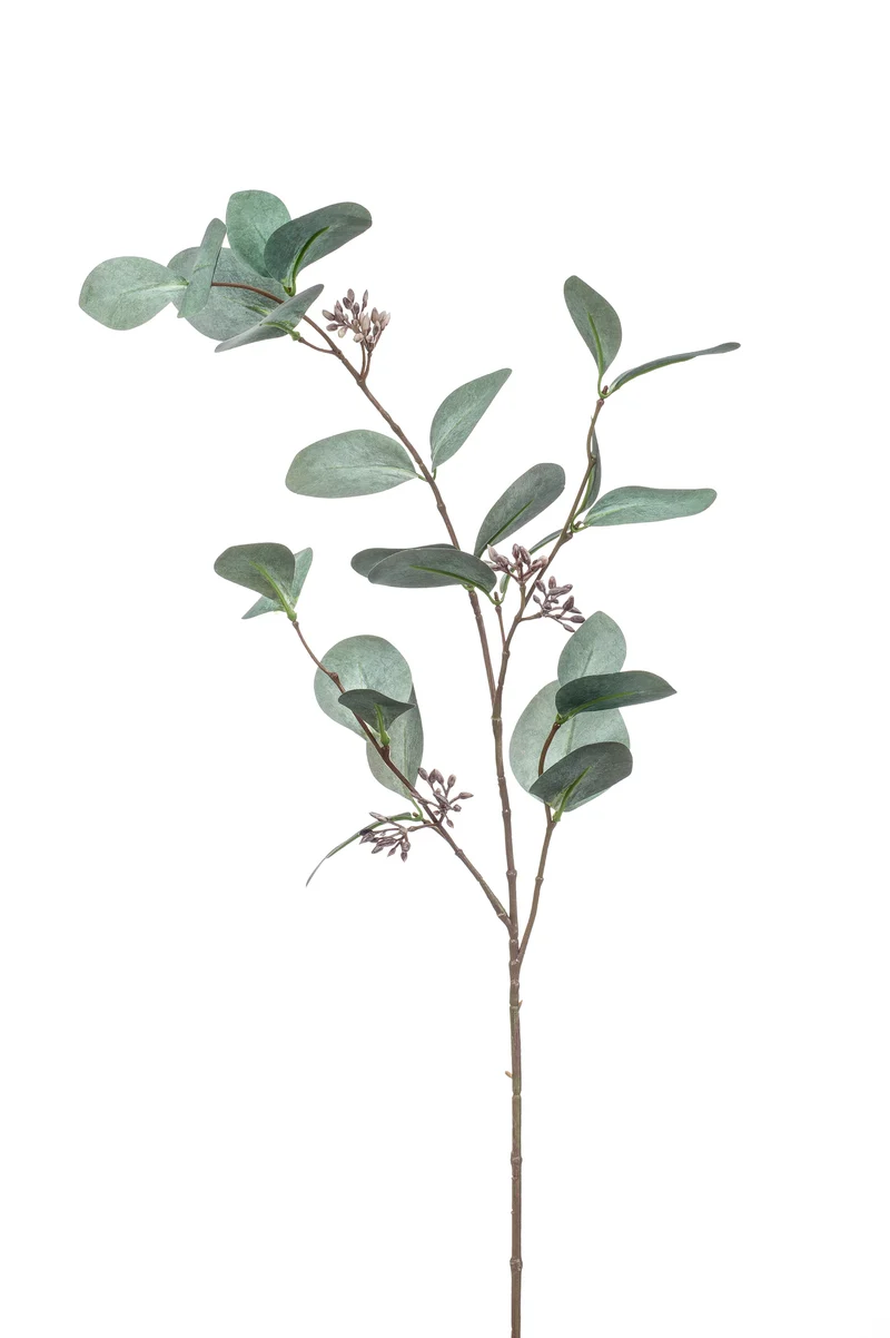 Eukalyptus Populus mit Früchten künstlich 73 cm - 1 Zweig - Grün-Grau