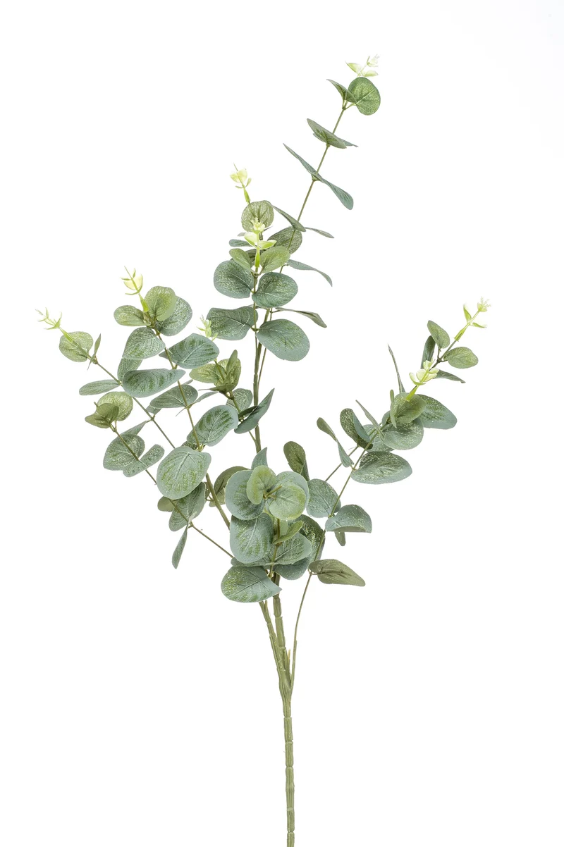 Eukalyptus Cinerea künstlich 75 cm - 1 Zweig - Grün-grau