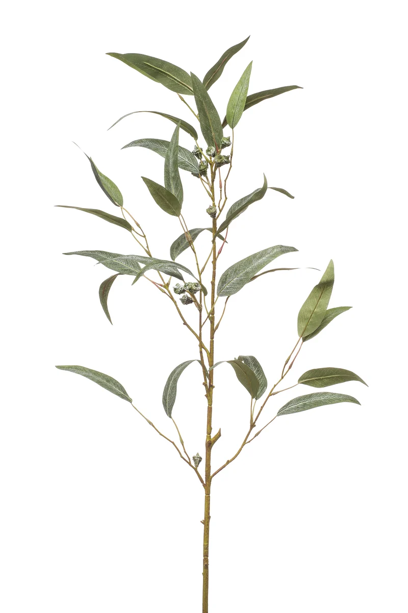 Eukalyptus Willow mit Früchten künstlich 90 cm - 1 Zweig - Grün-Grau