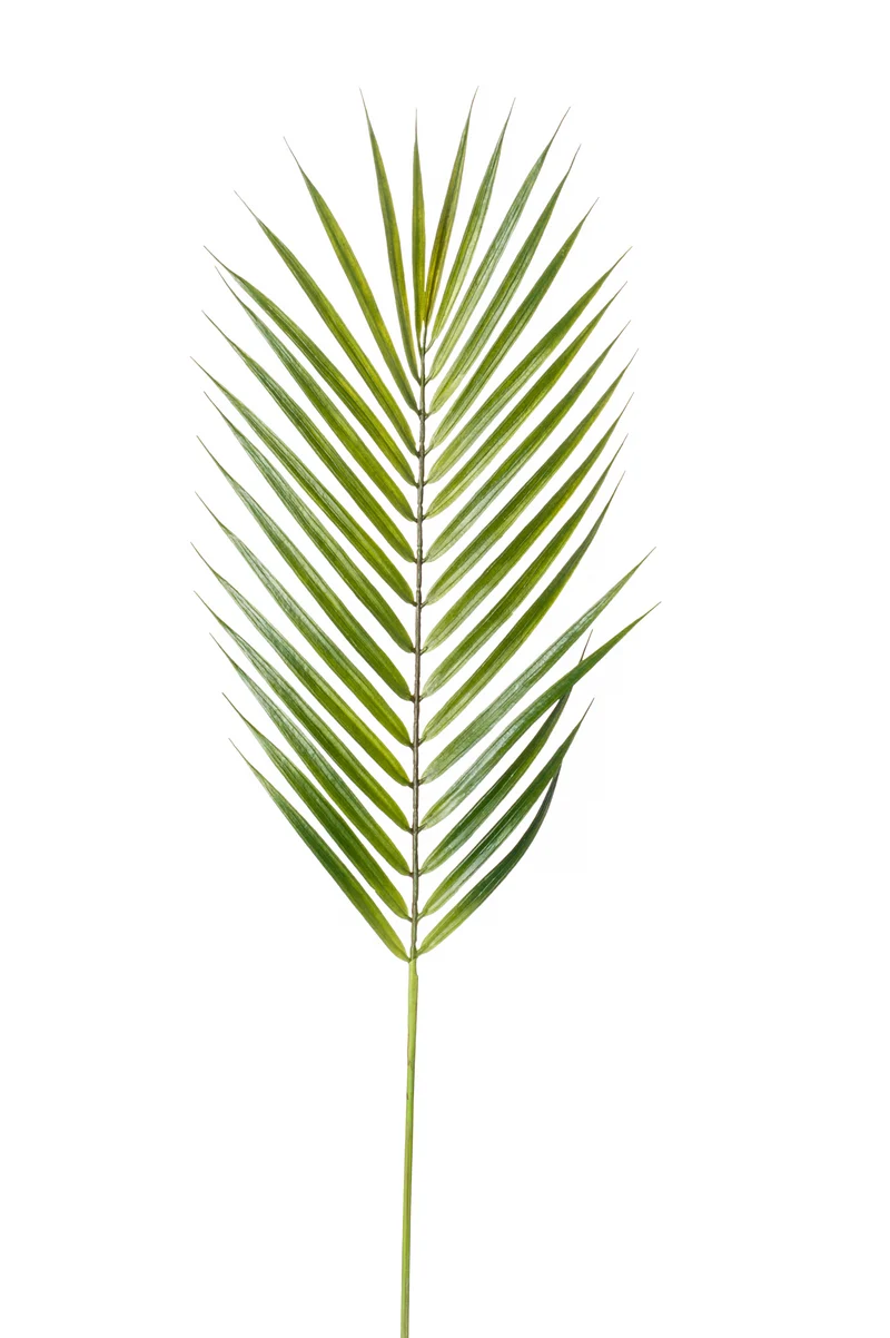 Palme künstlich 75 cm - 1 Wedel - Grün