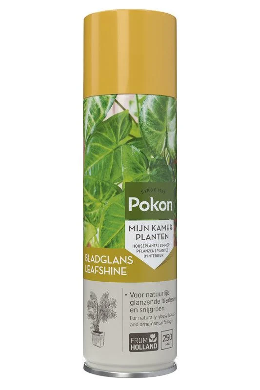 Pokon Blattglanz – 250 ml – Glanzspray für Zimmerpflanzenblätter