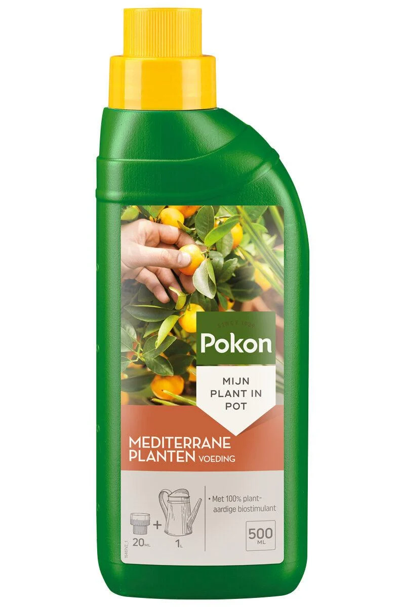 Pokon Mediterrane Pflanzennahrung 500 ml – Flüssigdünger für Olivenbaum, Zitronenbaum & Co. – Kräftiges Wachstum & reiche Blüte