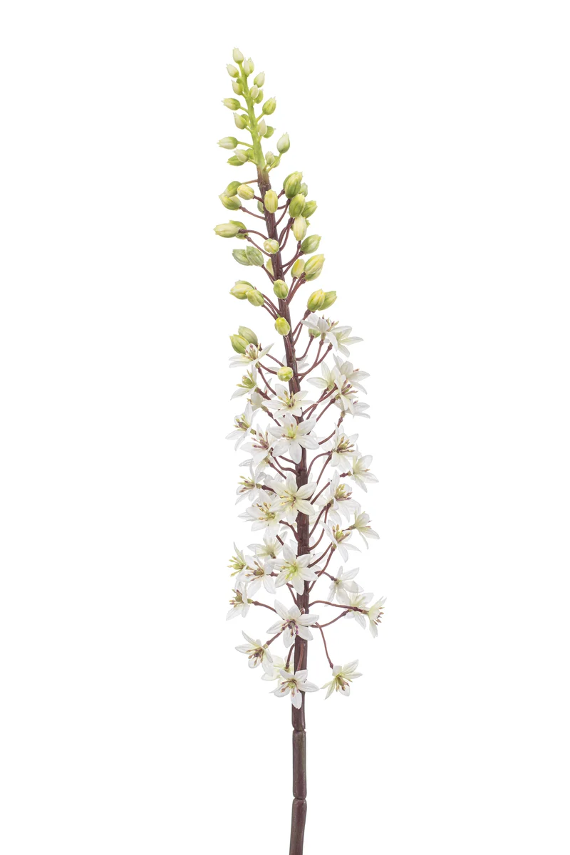 Steppenkerze künstlich 95 cm - 1 Stiel - Weiß und grün