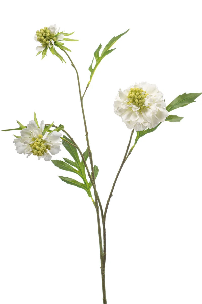 Scabiosa künstlich 62 cm - 1 Stiel - Weiß