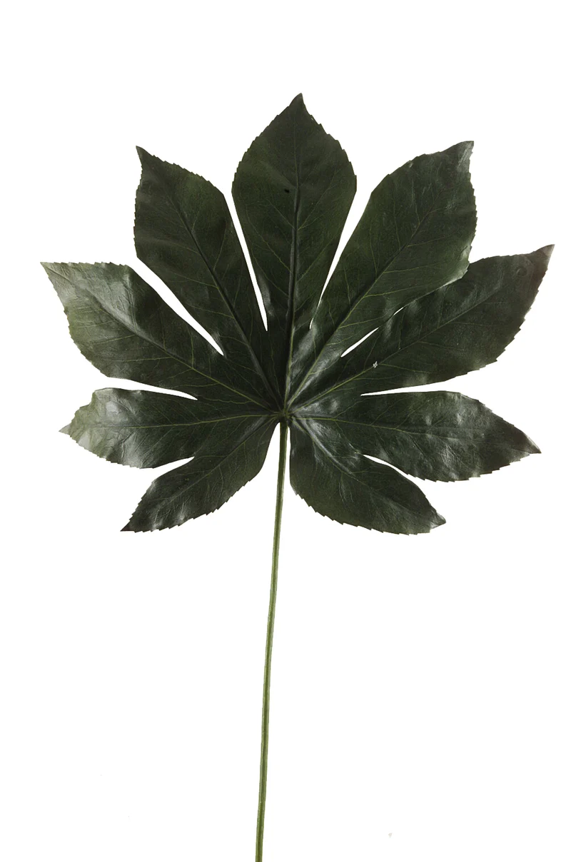 Aralia künstlich 55 cm - 1 Blatt - Grün