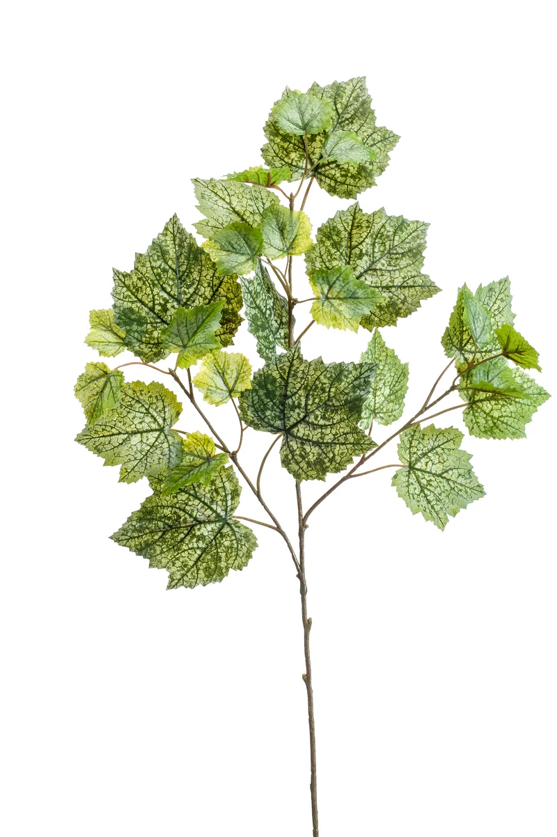 Weinrebe künstlich 65 cm - 1 Zweig - Grün und weiß