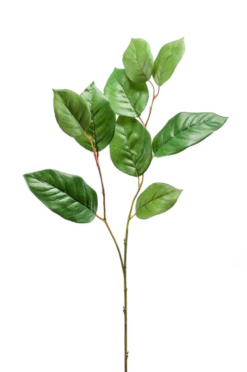 Salal künstlich 70 cm - 1 Zweig - Grün