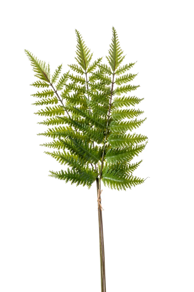 Glanz Schildfarn künstlich 58 cm - 3 Stiele - Grün