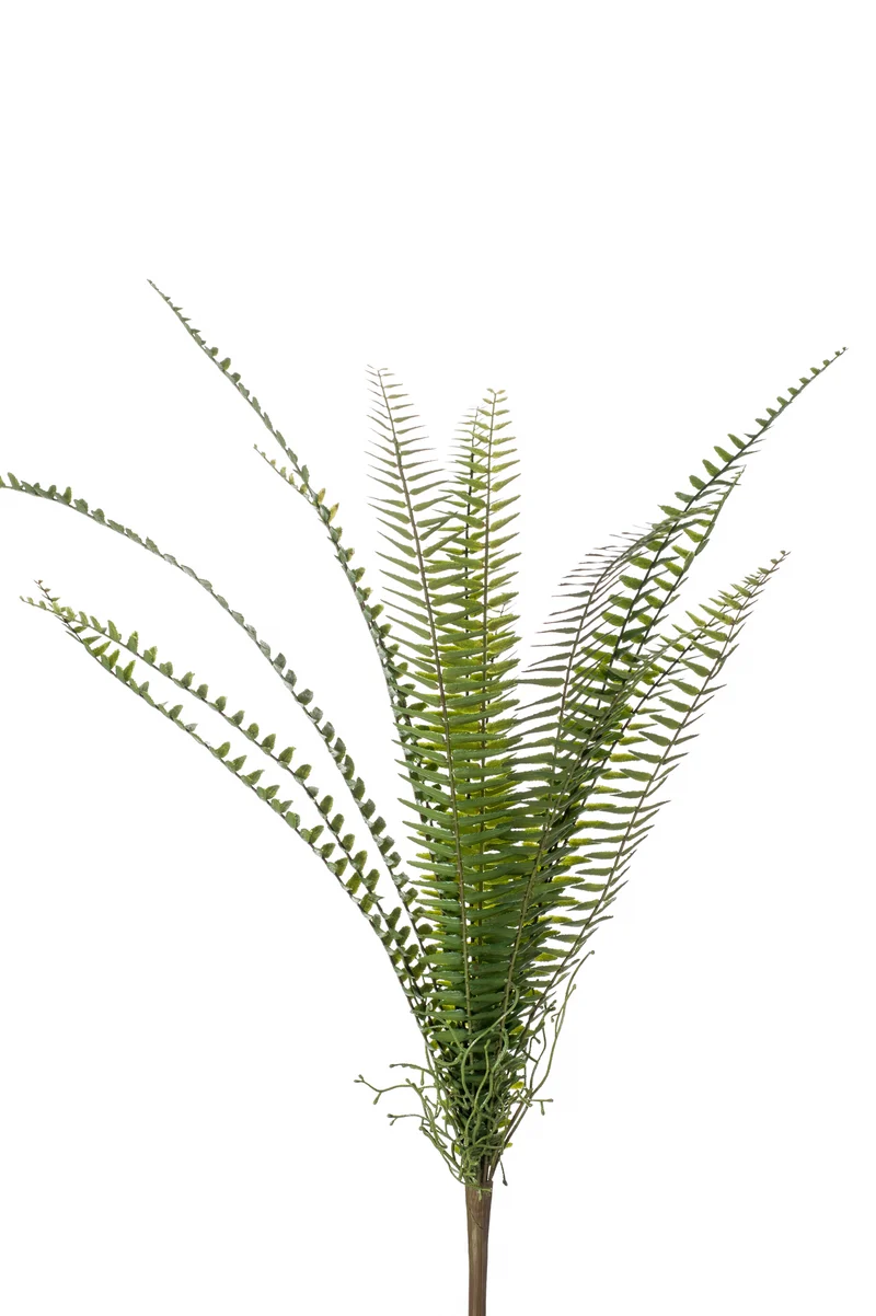 Schwertfarn künstlich 60 cm - 1 Steckstab - Grün
