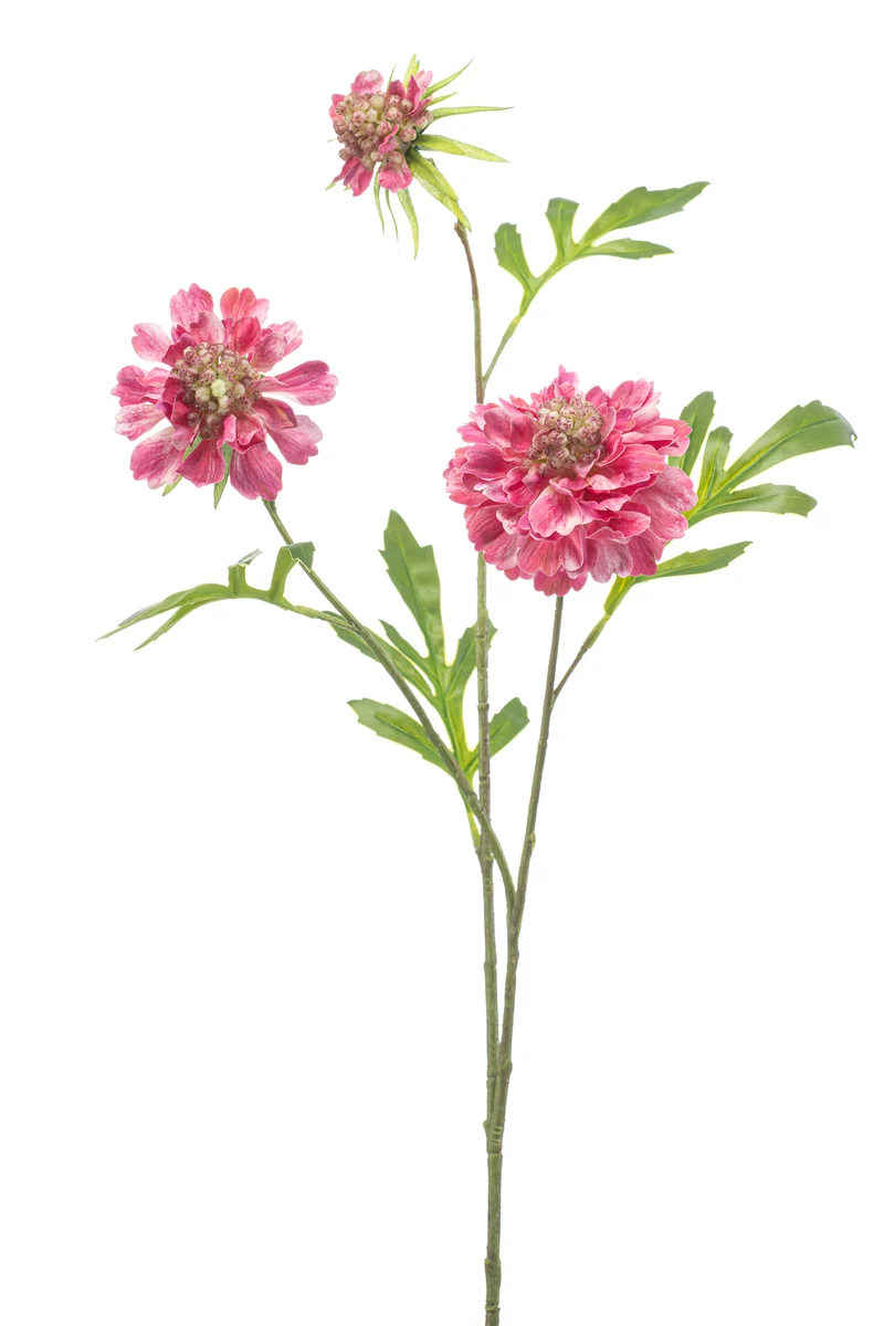 Scabiosa künstlich 62 cm - 1 Stiel - Rosa