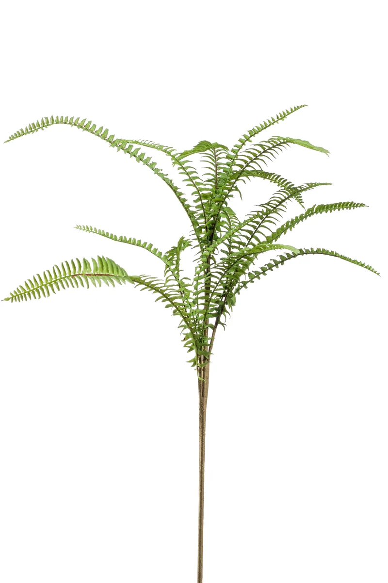 Schwertfarn künstlich 60 cm - 1 Steckstab - Grün