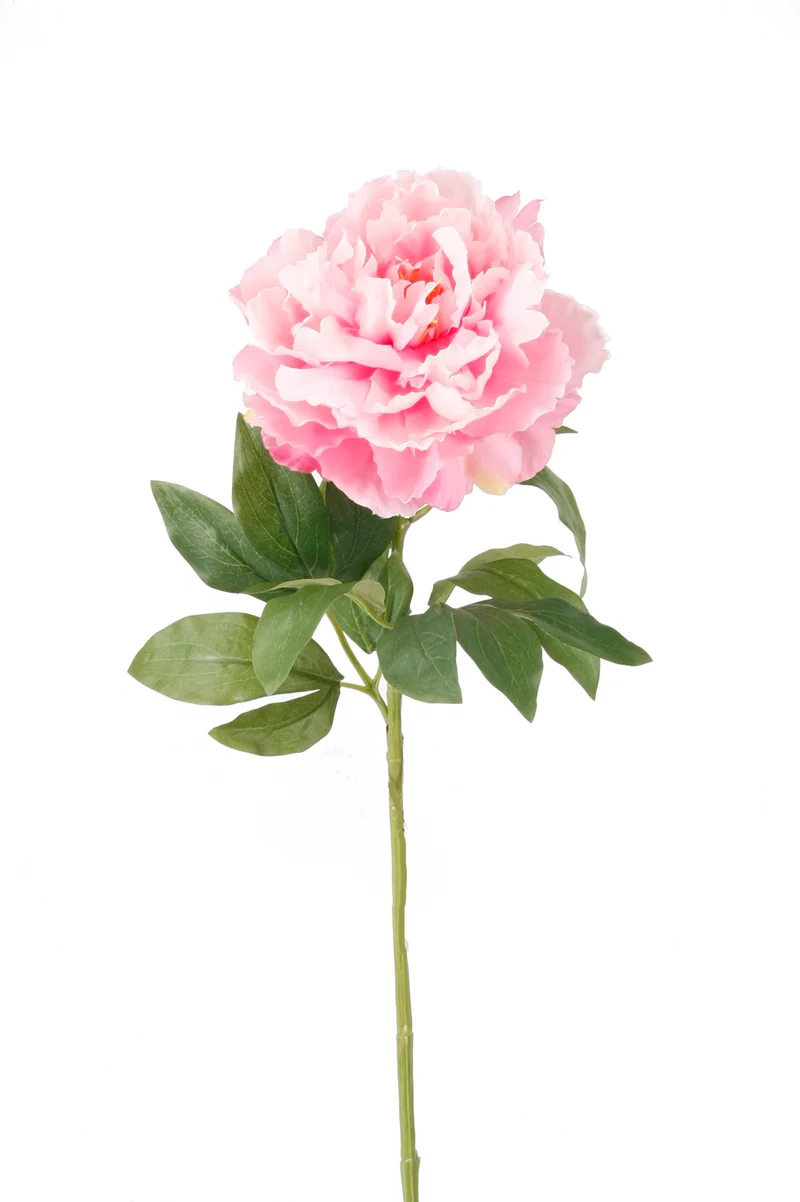 Pfingstrose künstlich 65 cm - 1 Stiel - Hellrosa
