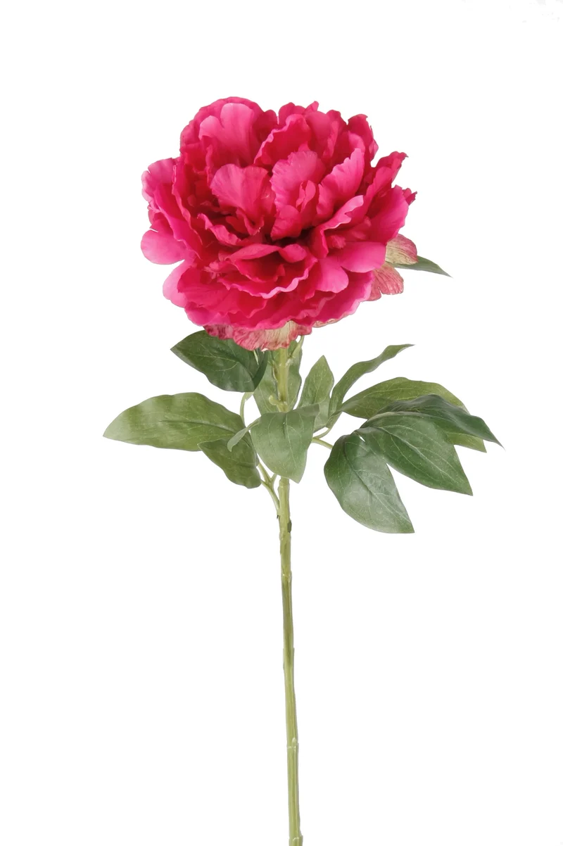 Pfingstrose künstlich 65 cm - 1 Stiel - Fuchsienrot