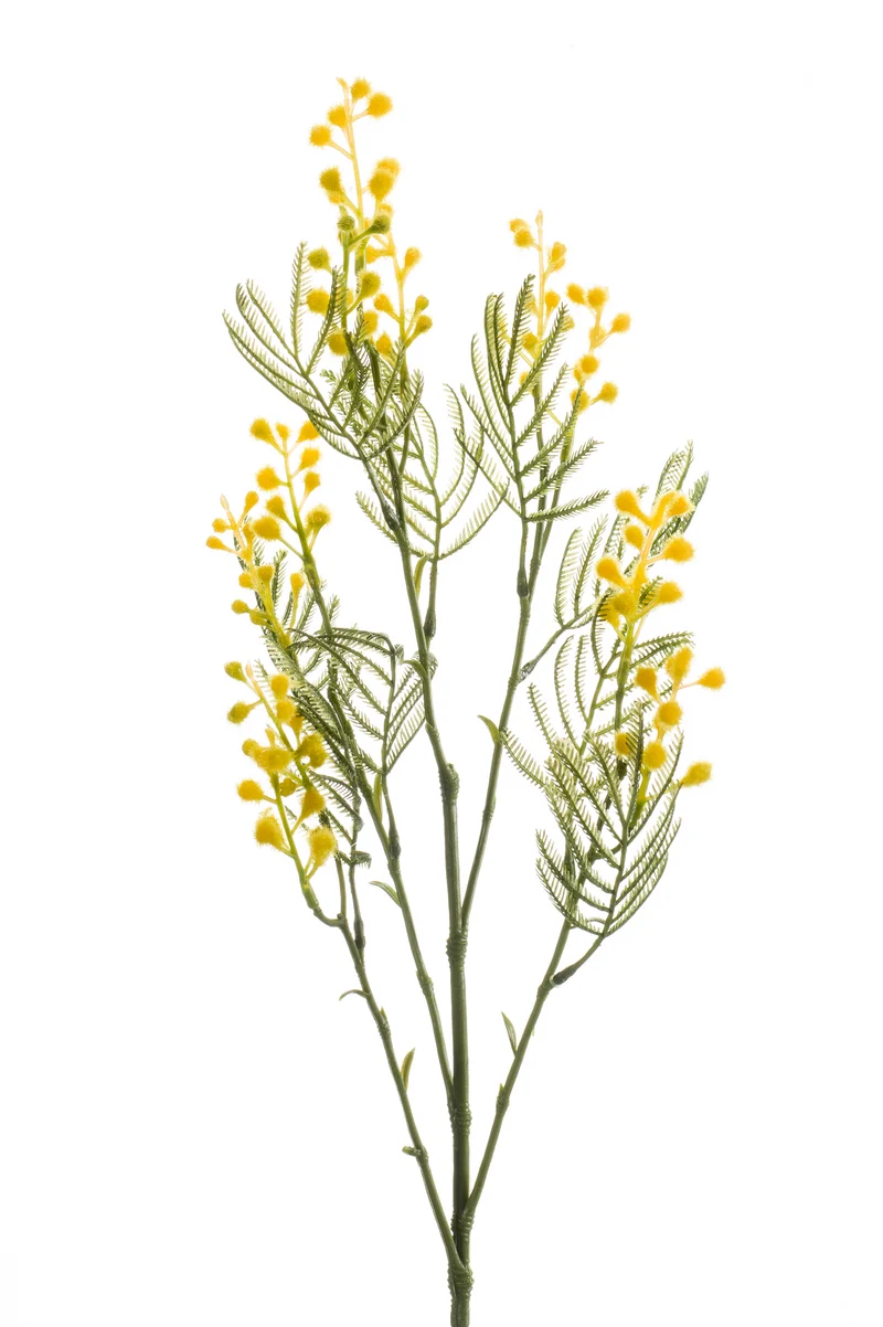 Mimose künstlich 65 cm - 1 Zweig - Gelb