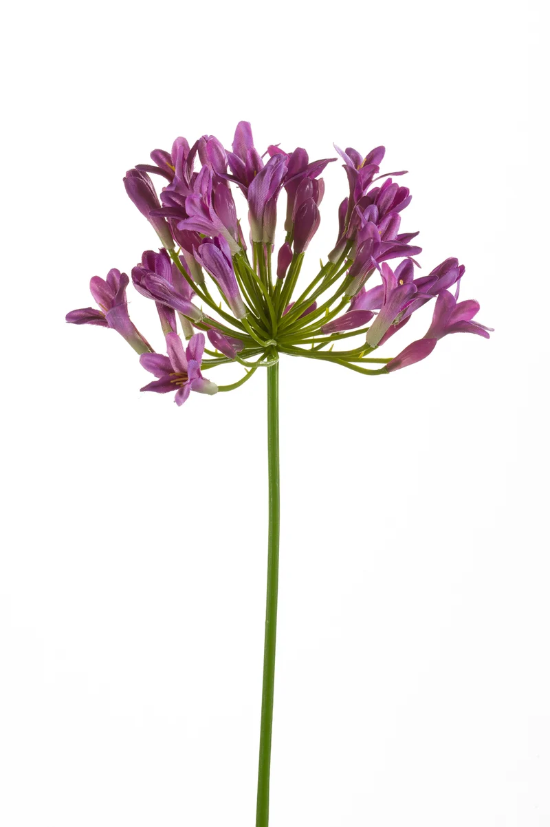 Agapanthus künstlich 75 cm - 1 Stiel - Lila