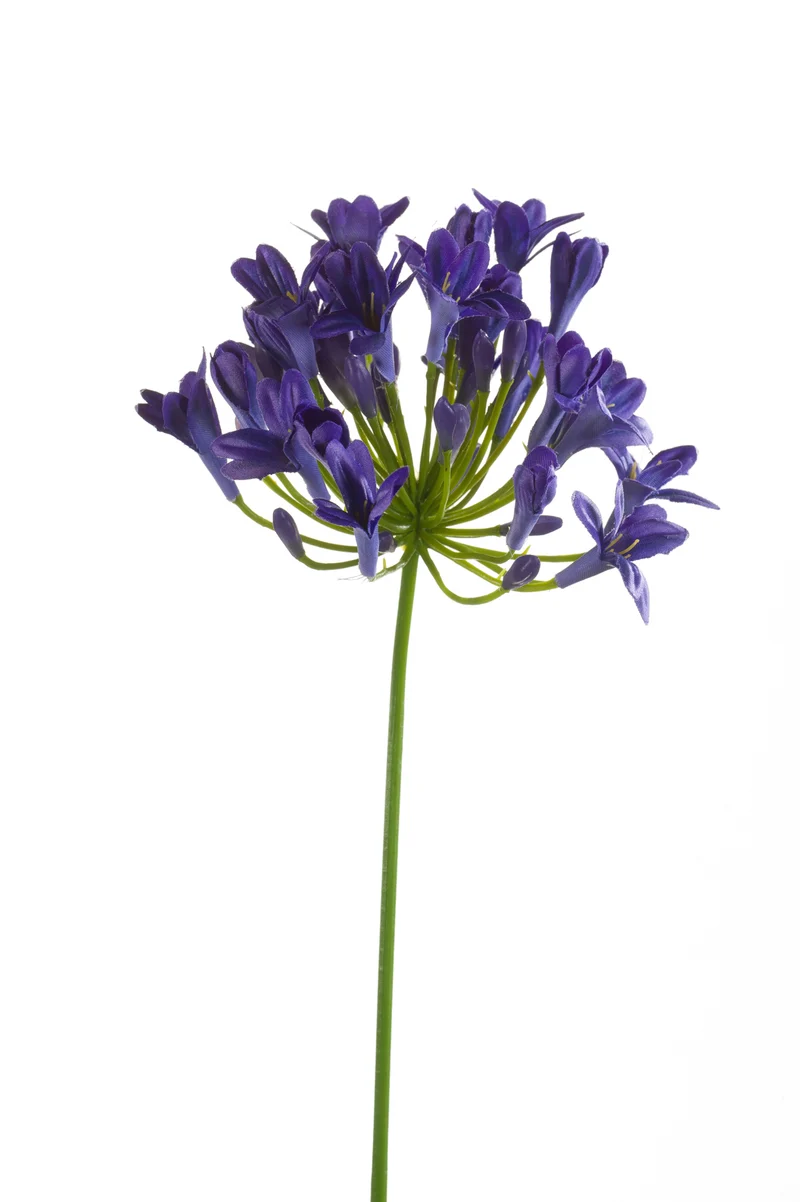 Agapanthus künstlich 75 cm - 1 Stiel - Dunkelviolett