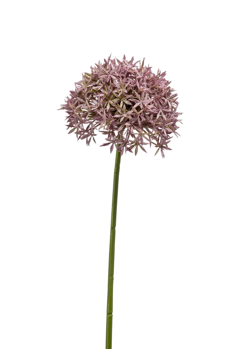 Allium künstlich 62 cm - 1 Stiel - Lila