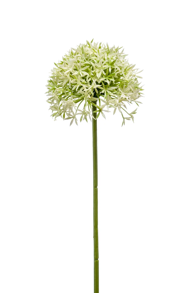 Allium künstlich 62 cm - 1 Stiel - Creme/grün