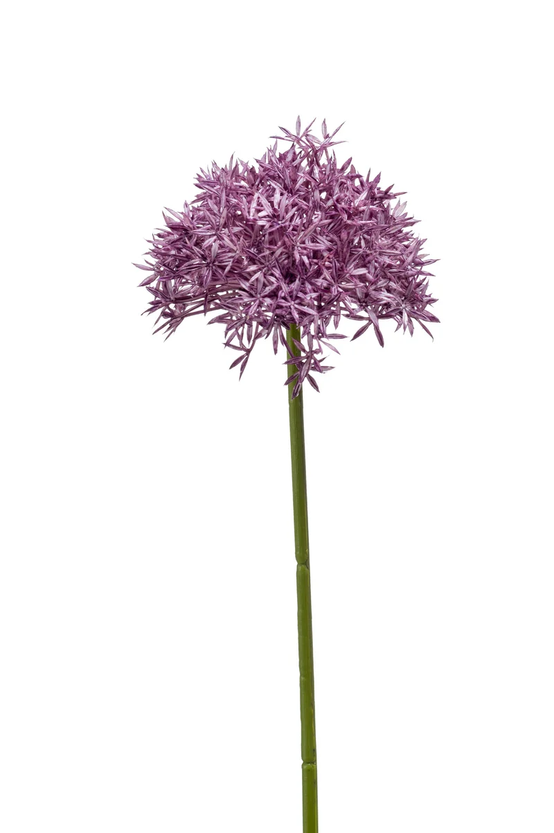 Allium künstlich 62 cm - 1 Stiel - Violett