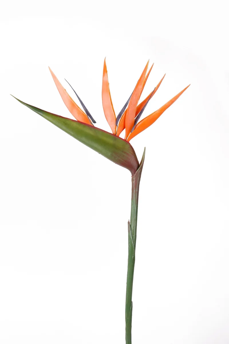 Papageienblume künstlich 90 cm - 1 Stiel - Orange
