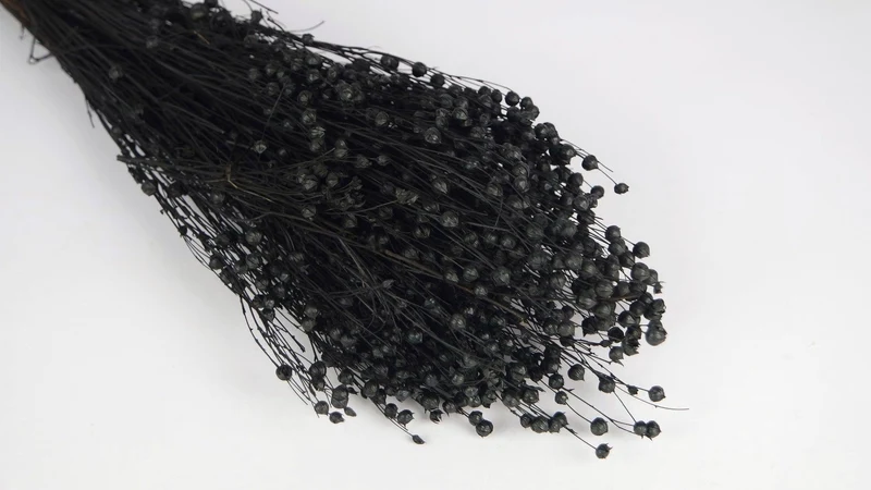 Flachs getrocknet - 1 Bund - Schwarz