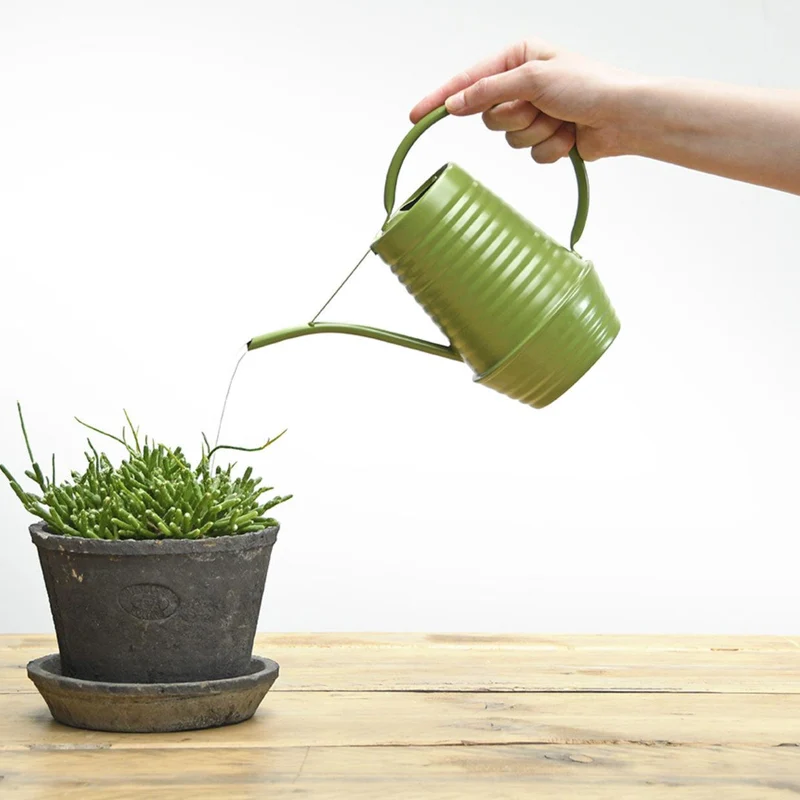 Blumengießkanne Zink 1 Liter Grün | Handliche Gießkanne für Zimmerpflanzen & Balkon