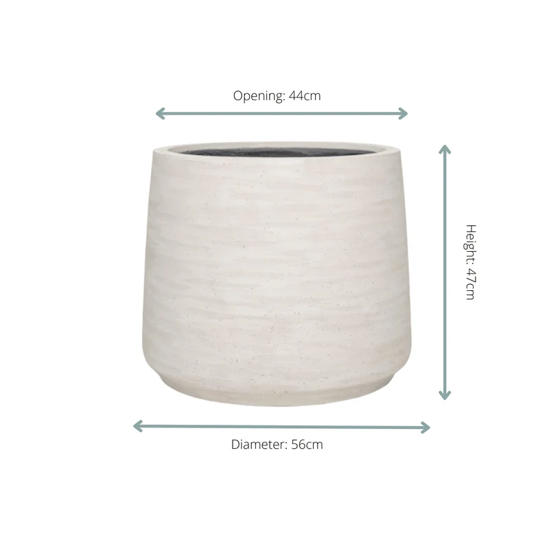 Jumbo Patt Ivory Washed – Pflanzkübel D56 × H47 für Indoor & Outdoor