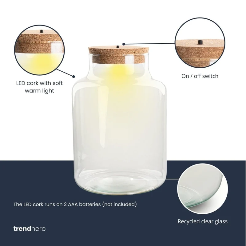 Kleine milchige Terrarienflasche mit Korken - Geschlossenes großes Terrarium ↑ 24,5 cm