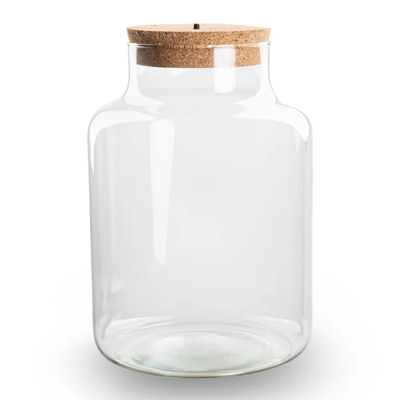 Kleine milchige Terrarienflasche mit Korken - Geschlossenes großes Terrarium ↑ 24,5 cm