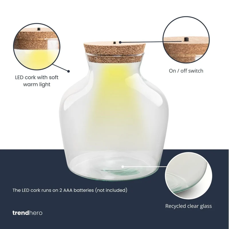 Terrarienflasche mit LED-Beleuchtung - Öffnet ein Terrarium - Little Joe - ↑ 22 cm - Ø 20 cm