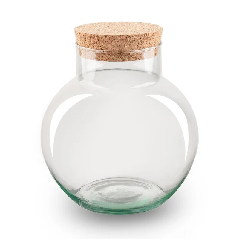Terrarienflasche „Noah“ mit Korken – Glas-Terrarium 20 cm hoch