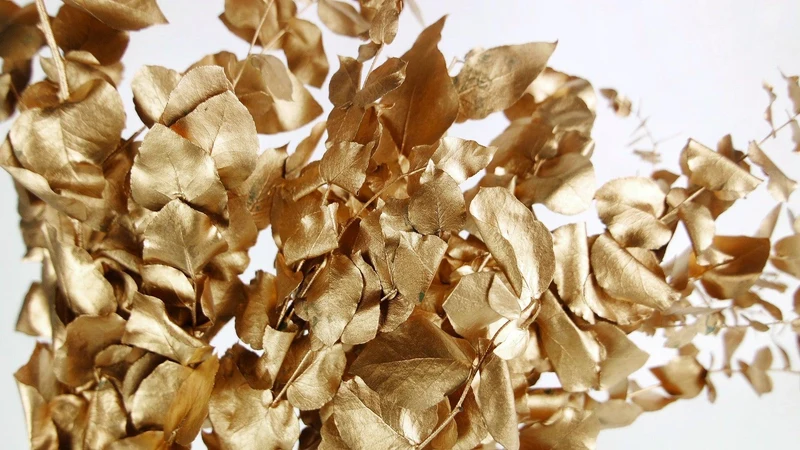 Konservierter Eukalyptus Stuartiana - 1 Bund - Gold