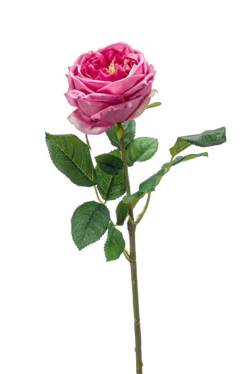 Englische Rose künstlich 60 cm - 1 Stiel - Rosa