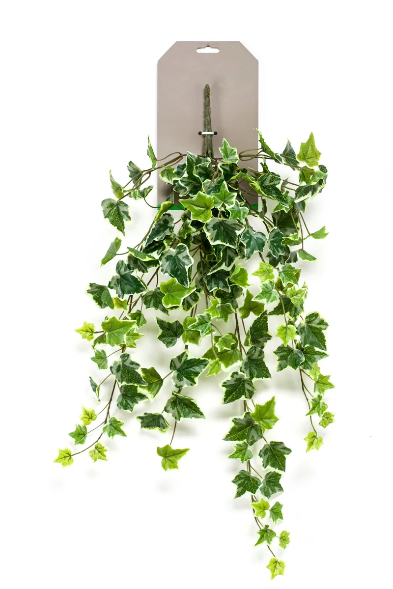 Efeuhänger künstlich 70 cm - 1 Steckstab - Grün/weiß