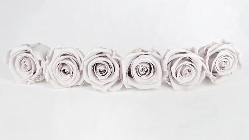 Stabilisierte Rosen Kiara 6 cm - 6 Stück - Grey