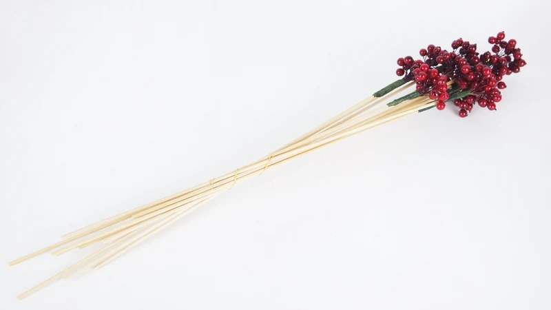 Berry cluster on stem - 1 Bund - Rot