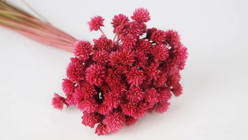Bergblumen - 1 Bund - Dusty pink